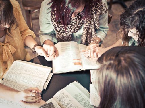 Provide Biblical Wisdom to Love on Your Disciple Provide Biblical Wisdom to Love on Your Disciple