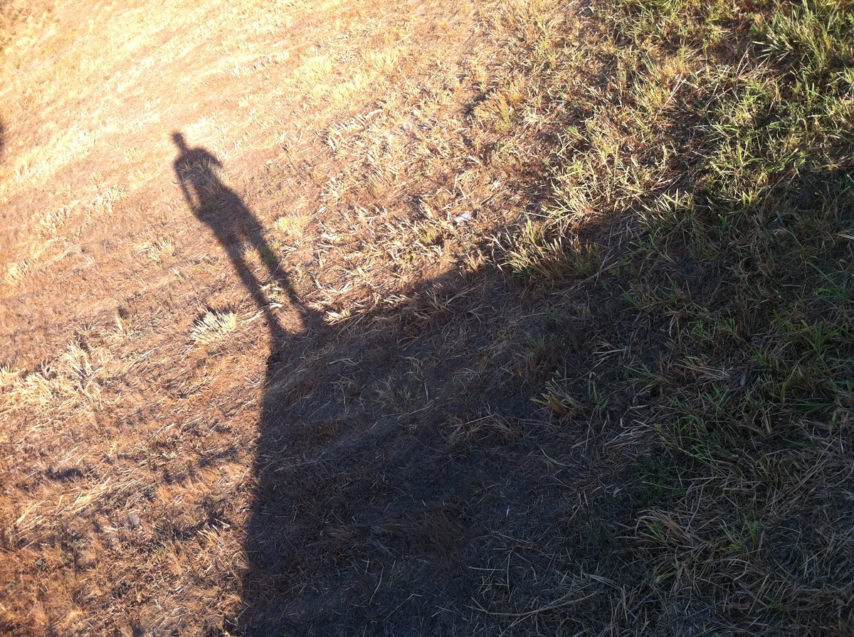 shadow