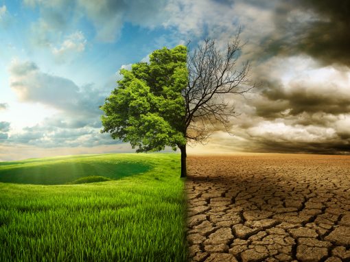 How to Discern “Good Soil” in Mentoring Conversations How to Discern “Good Soil” in Mentoring Conversations